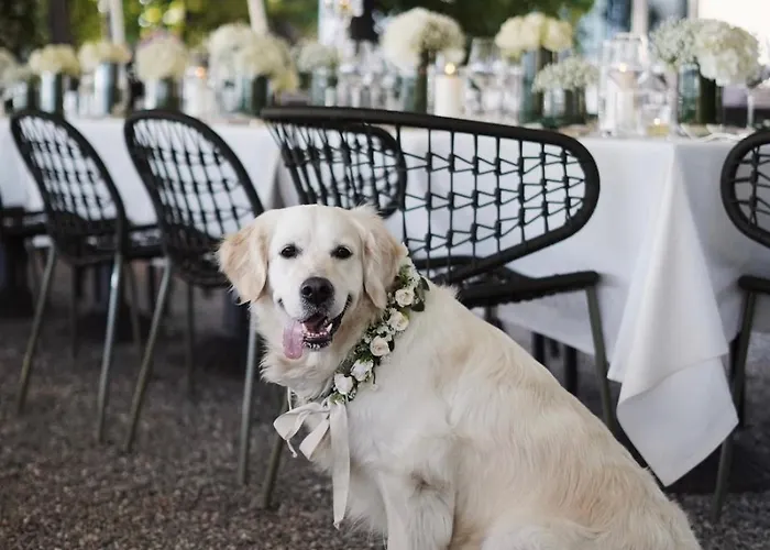 Il Sole Di 호텔 랑코